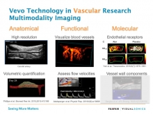 Vascular Research