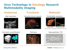 Oncology Research
